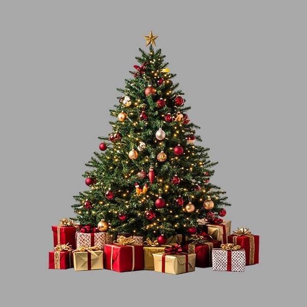 background-removal-service-before Background removal service with clean and precise cutout