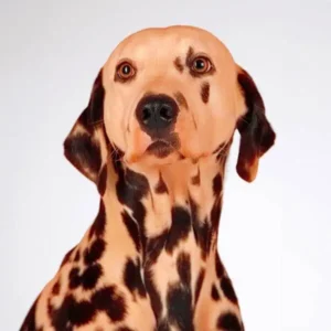 Image with improved color balance and brightness.