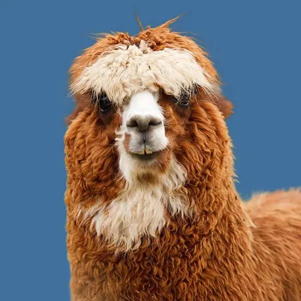 image-masking-service-before Photo masking service for accurate background editing.